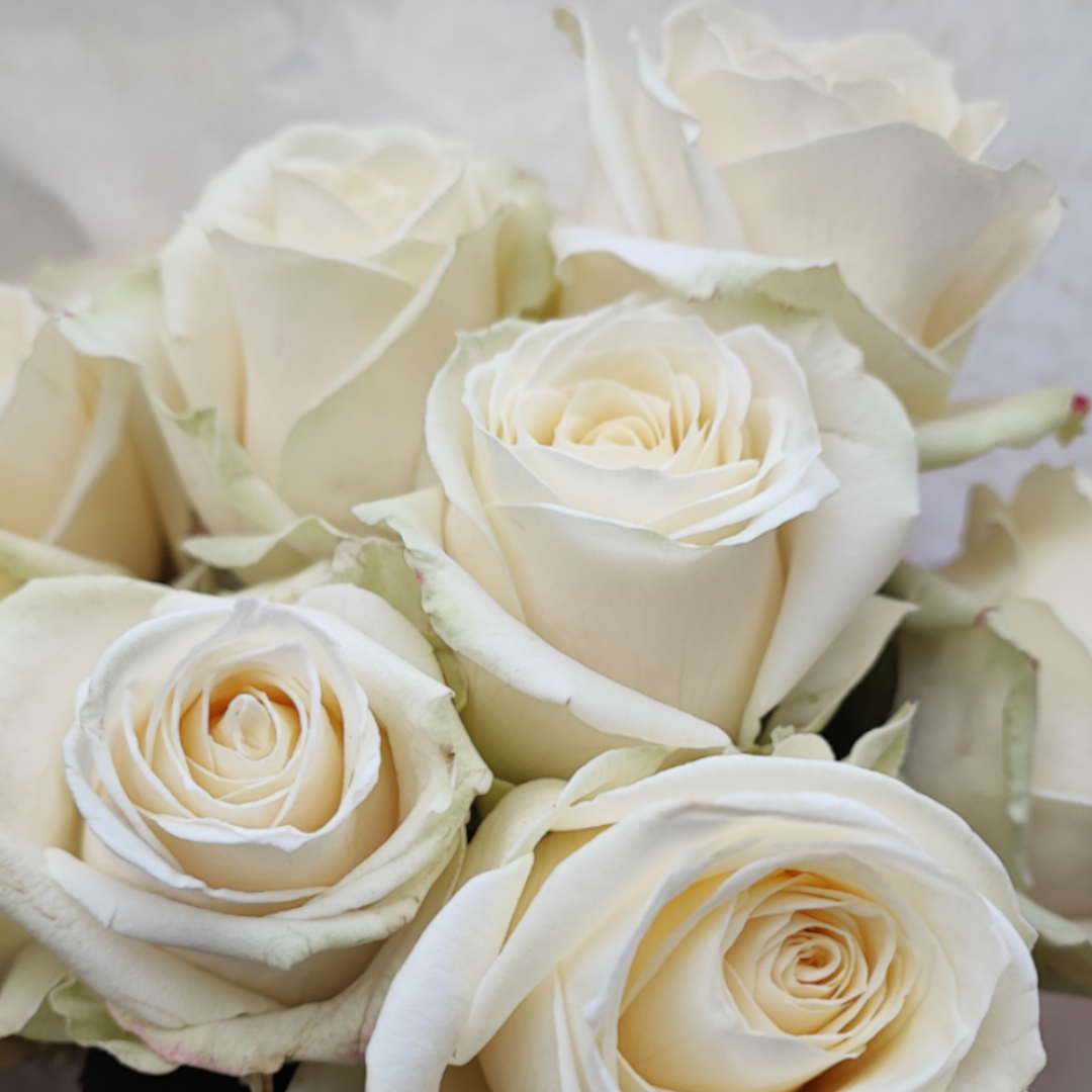 Stolpersteinverlegung 16